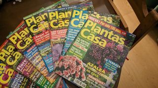 11 revistas Plantas en casas