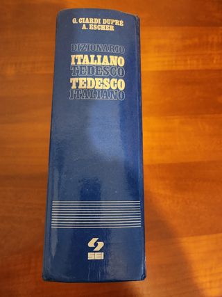 Dizionario 