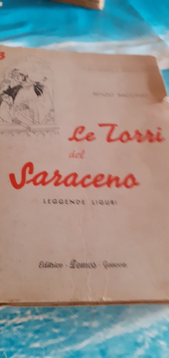 Libro Le torri del saraceno