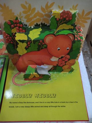 Libro infantil en inglés