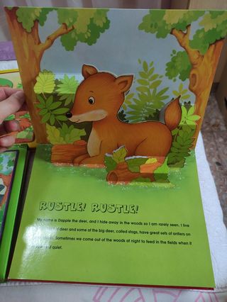 Libro infantil en inglés