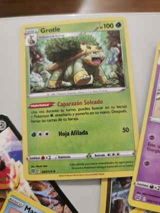 Lotto carte Pokémon in lingua spagnola 