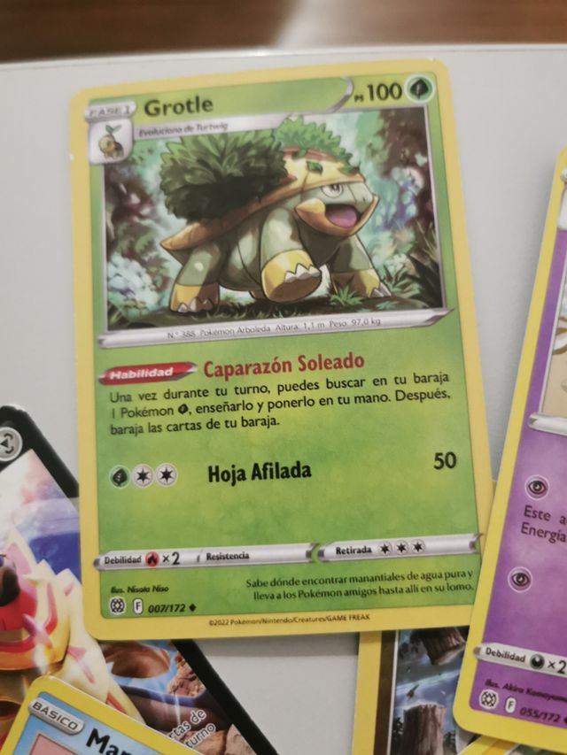 Lotto carte Pokémon in lingua spagnola