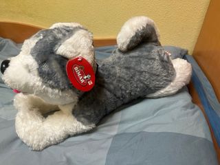 ¡OFERTA! Peluche husky Nuevo