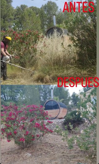 Jardinero para desbroces y limpieza