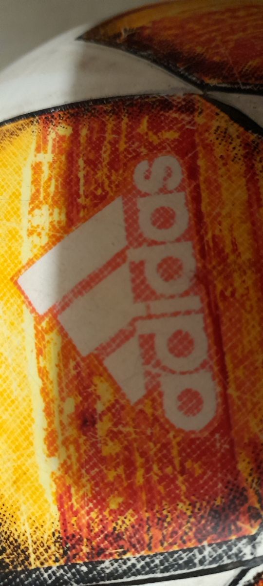 Nici, tigre, gato, conejo bebés llorón