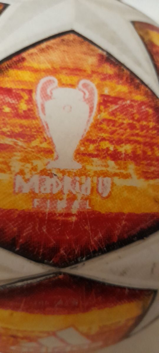 Nici, tigre, gato, conejo bebés llorón