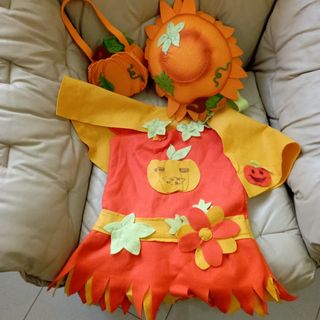 Vestito carnevale zucca bambina