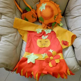 Vestito carnevale zucca bambina
