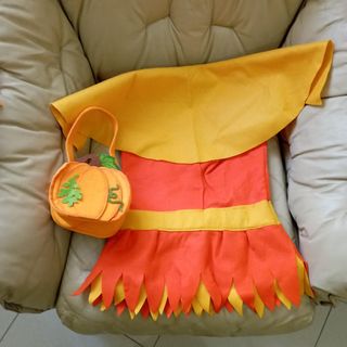 Vestito carnevale zucca bambina