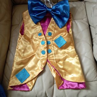 Vestito carnevale bambina pagliaccetta