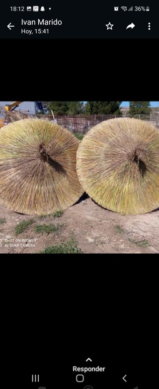 Sombrillas 