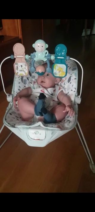 Hamaca Fisher-price