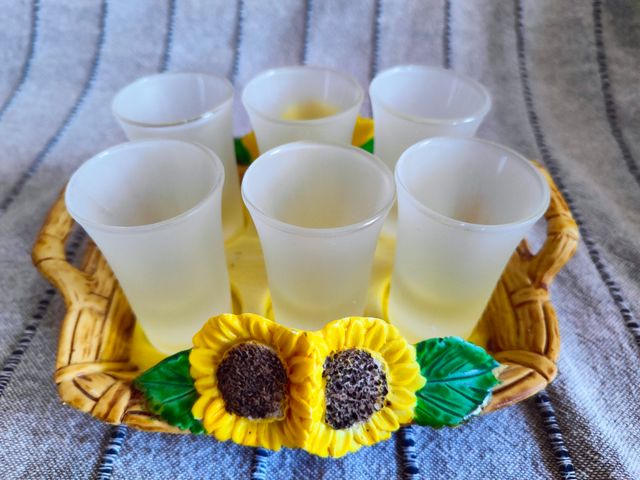 Set bicchierini da amaro