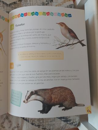 365 curiosidades de animales