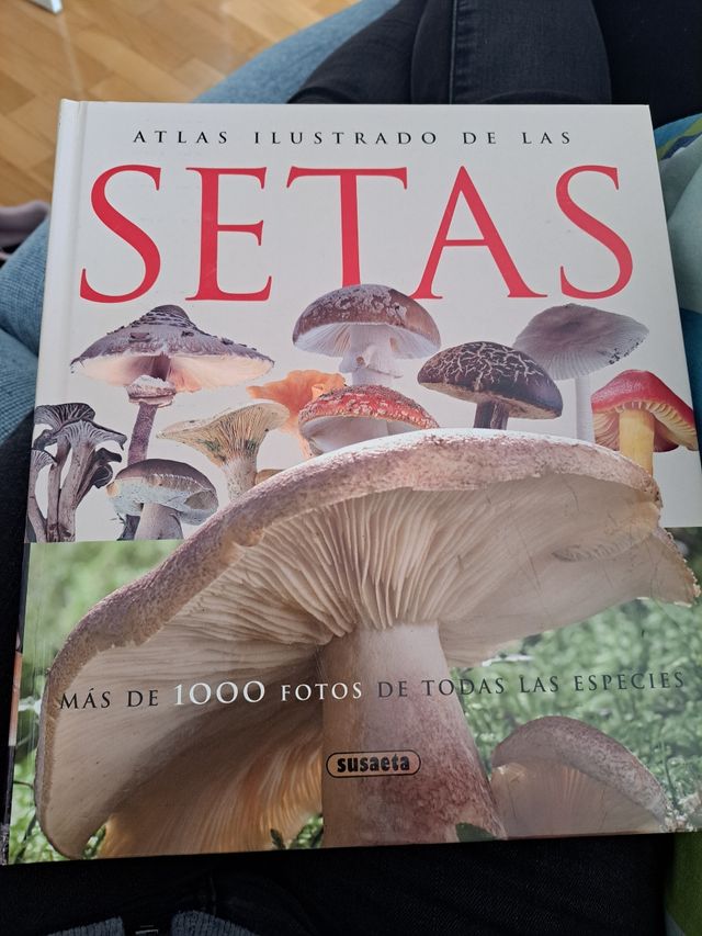Atlas ilustrado de las setas