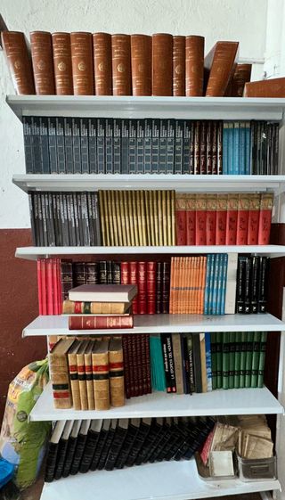 Lote de libros