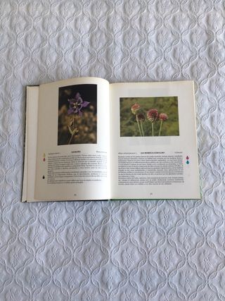 Plantas de los caminos de La Rioja