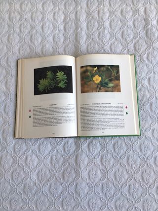 Plantas de los caminos de La Rioja