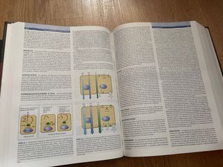 Harrison Medicina Interna