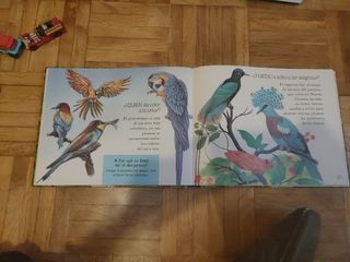 Libro de curiosidades