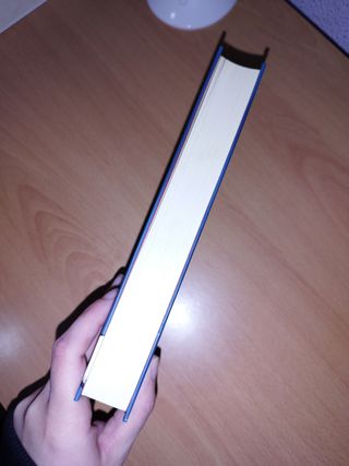 Libro: Harry Potter y la piedra filosofal
