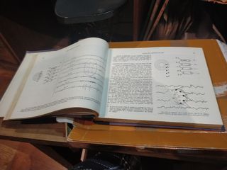 Libro de medicina, electroencefalogra