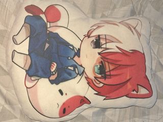 Almohada anime.