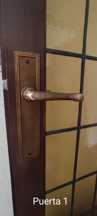 Puertas de madera con cristal (2)