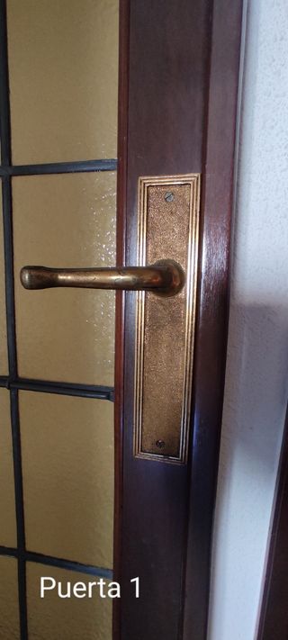 Puertas de madera con cristal (2)