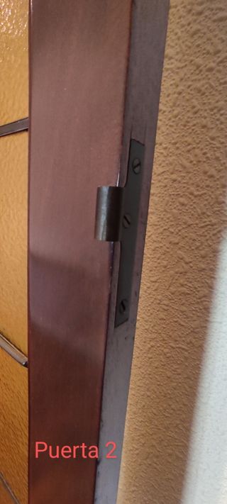 Puertas de madera con cristal (2)