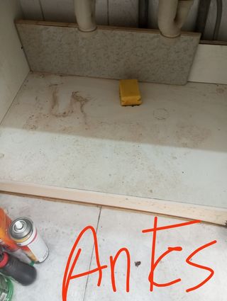 Servicio de limpieza