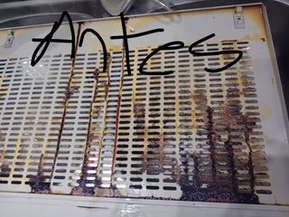 Servicio de limpieza