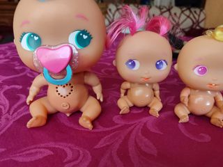 Bebés bellies