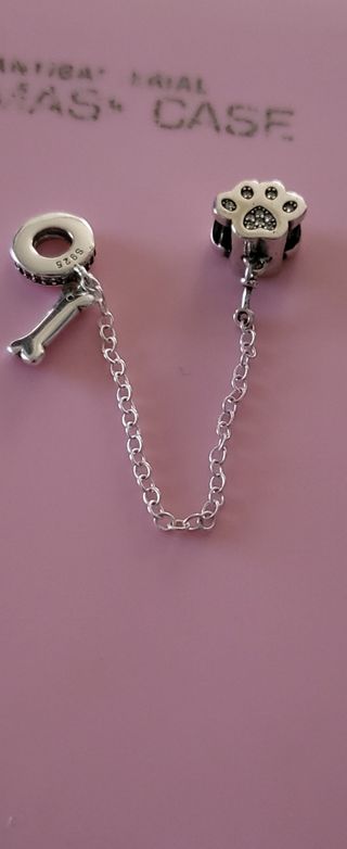 Cadena seguridad de plata huella de perro