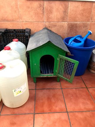 Casa perro