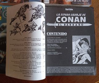 LOTE 34 CÓMICS LA ESPADA SALVAJE DE CONAN