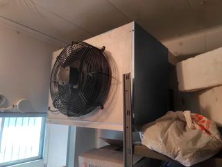 Cámara de Congelado