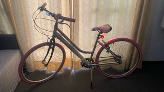 Bicicleta Aluminio Mujer 