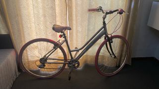 Bicicleta Aluminio Mujer 