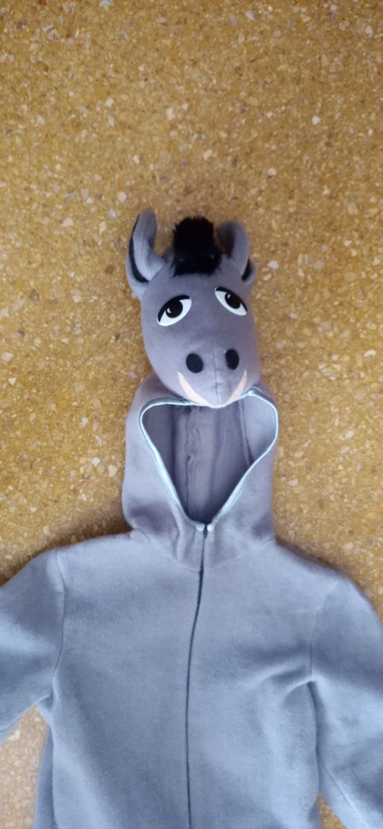 Disfraz burrito niño.Casa Picó