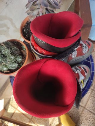 Botas de esqui