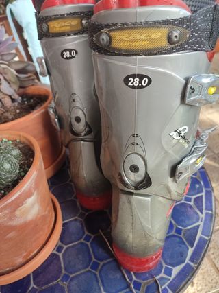 Botas de esqui
