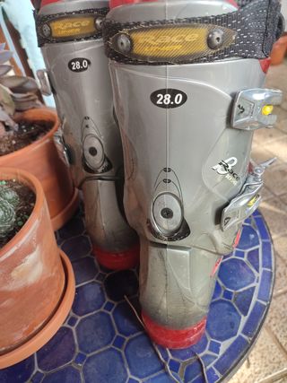 Botas de esqui