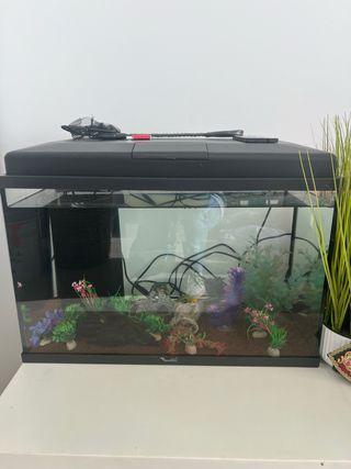 acuario y complementos