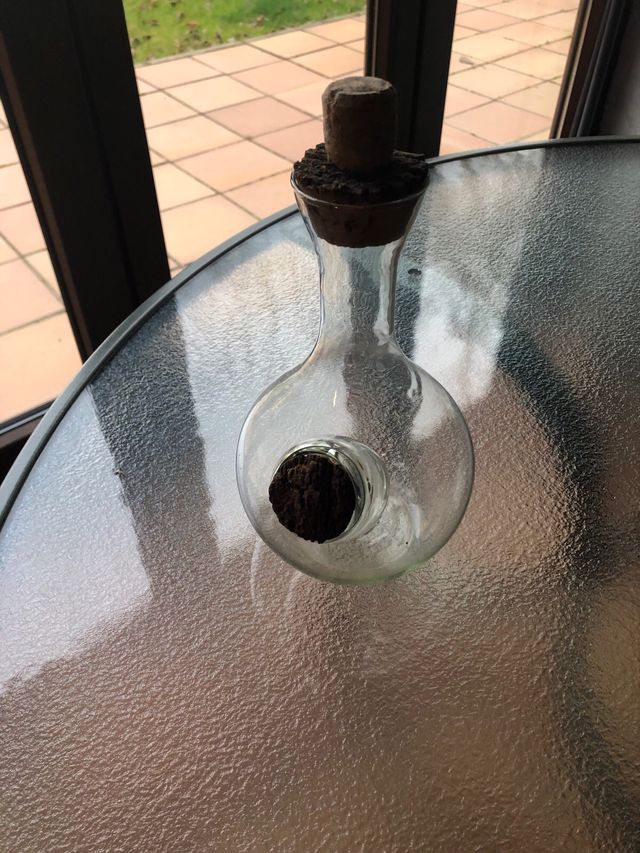 Botellas antiguas con recipiente para hielo