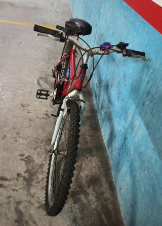 Bicicleta unisex 24 pulgadas