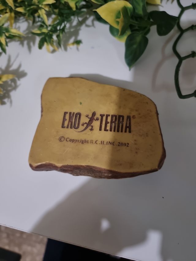 Articoli per terrari