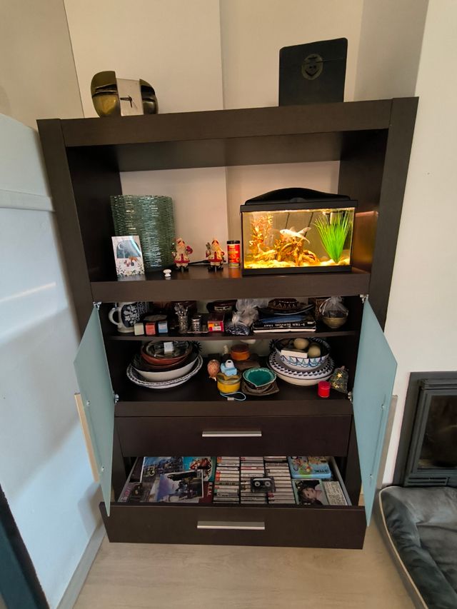 Muebles de Salón o Almacenaje wenge