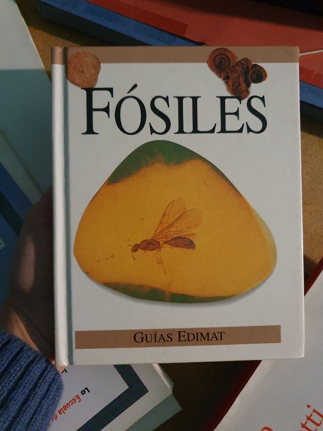 Libro de FÓSILES